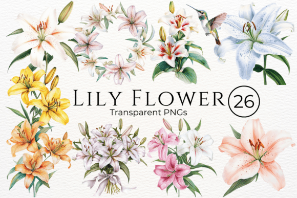 Download Lily Flower Watercolor Cliparts - Clip Collection