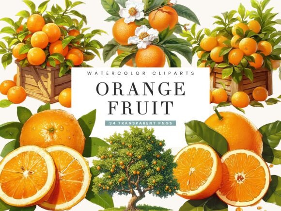 Download Watercolor Italy Orange Fruit Clipart - Clip Collection