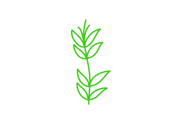 Download Floral Clipart - Clip Collection