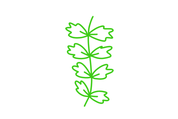 Download Floral Clipart - Premium Resources