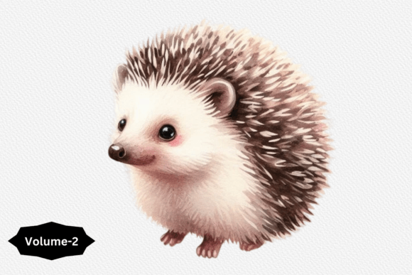 Download Watercolor Hedgehog Clipart - Clip Collection