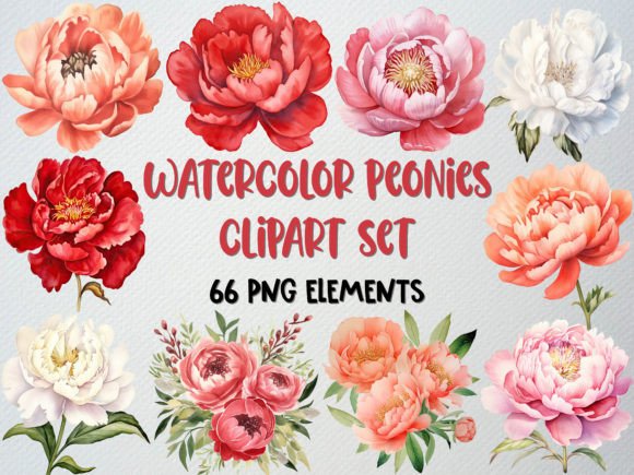 Download Watercolor Peonies Clipart, Floral Png - Clip Collection