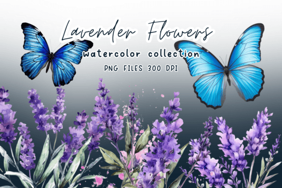 Download Lavender Watercolor Flower Clipart - Clip Collection